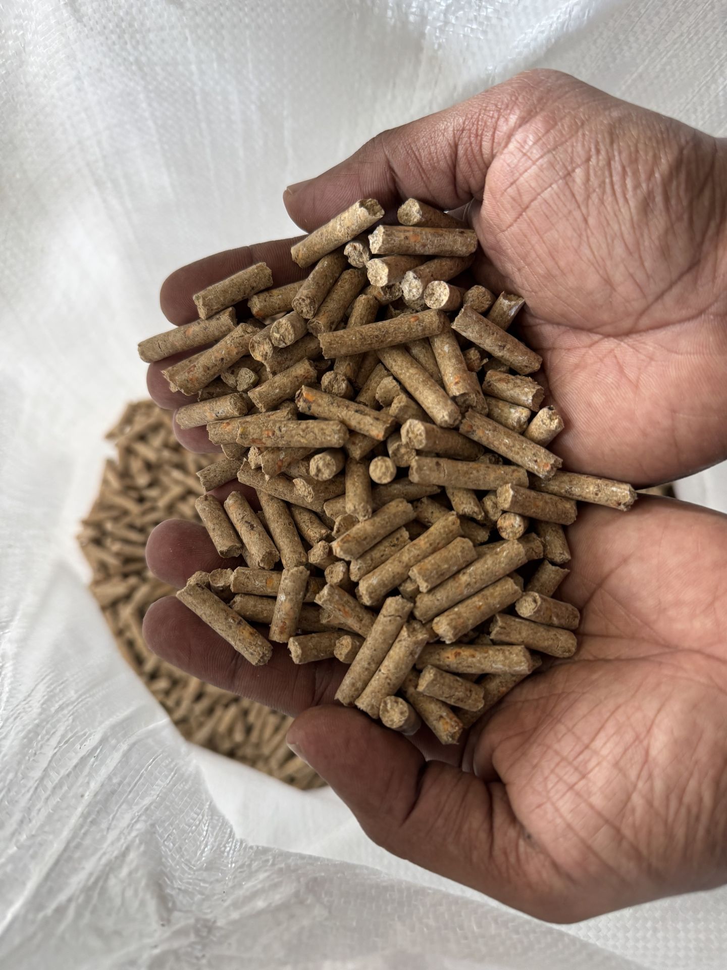 Cattle Pellet in Hand