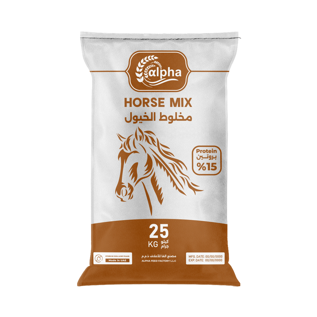 Horse Mix (Schooling)